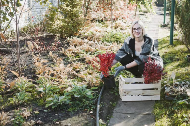 Alte Gemüsesorten neu entdecken: Dörthe Priesmeier verrät ihre Tipps für Anbau & Genuss im Herbstgarten