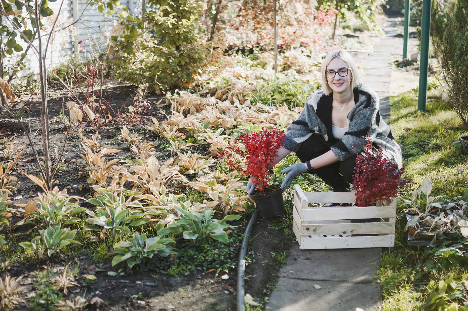 Alte Gemüsesorten neu entdecken: Dörthe Priesmeier verrät ihre Tipps für Anbau & Genuss im Herbstgarten